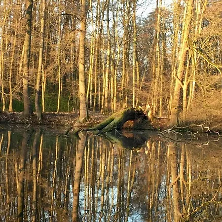 útulný Pár Kroků Od Lázeňské Fontány Poděbrady