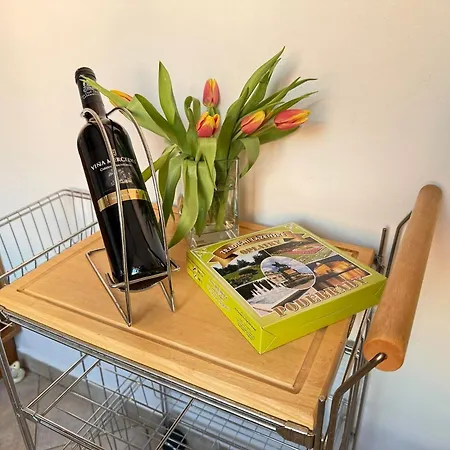 Utulny Par Kroku Od Lazenske Fontany Апартаменты