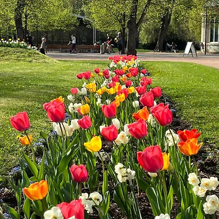 Utulny Par Kroku Od Lazenske Fontany * Podebrady