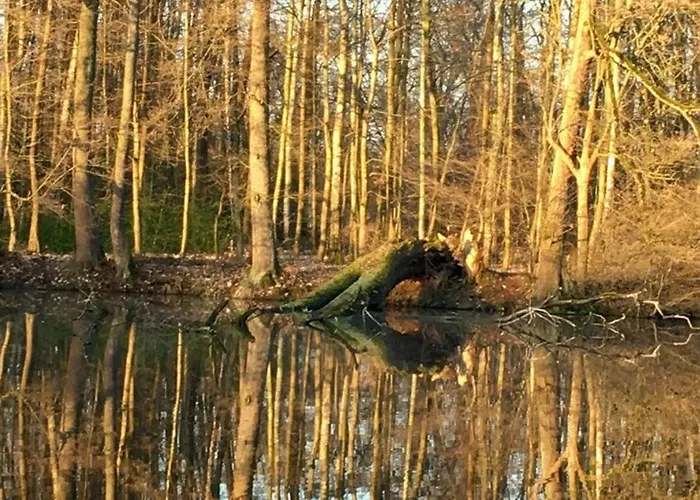 útulný Pár Kroků Od Lázeňské Fontány Poděbrady