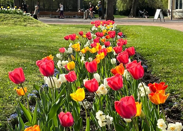 útulný Pár Kroků Od Lázeňské Fontány * Poděbrady